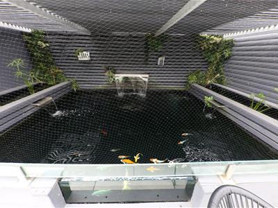 Picture 25